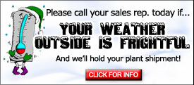Cold Weather Alert