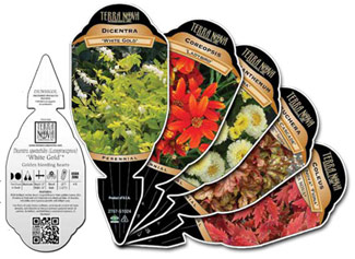 Cool tags for our cool plants!