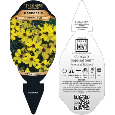 Coreopsis 'Imperial Sun' - Tag