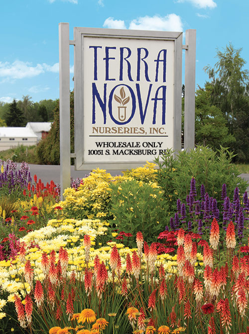 TERRA NOVA® Nurseries - Sign