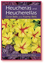 Heucheras & Heucherellas