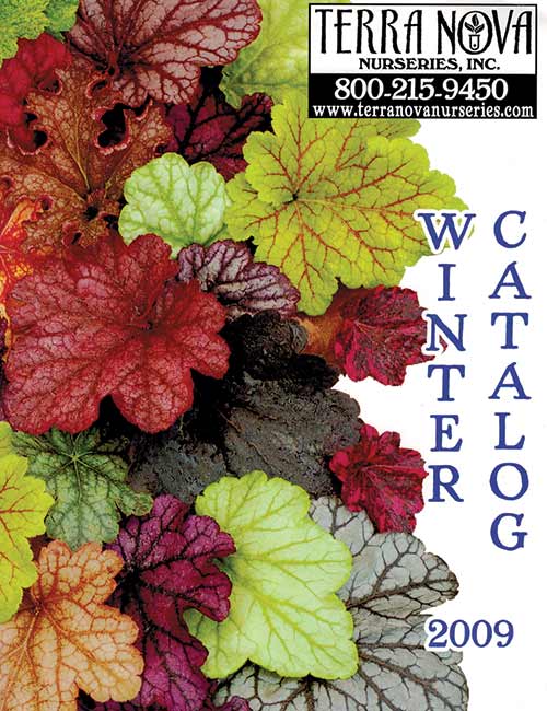 2009 Winter Catalog