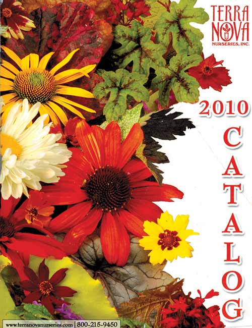 2010 Catalog