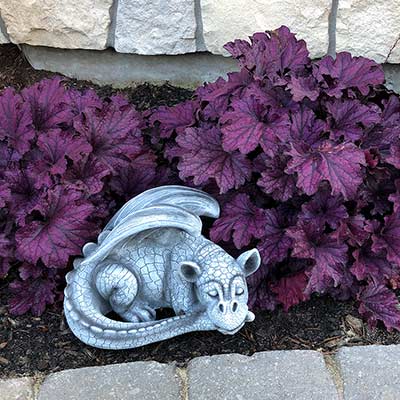 Heuchera FOREVER® 'Purple'