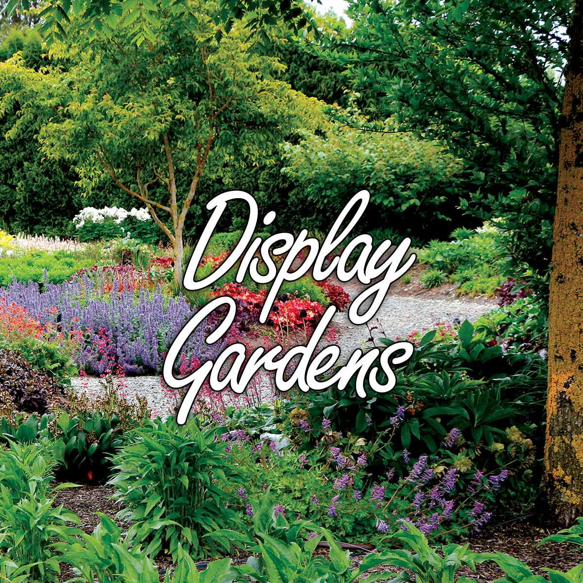 Display Gardens