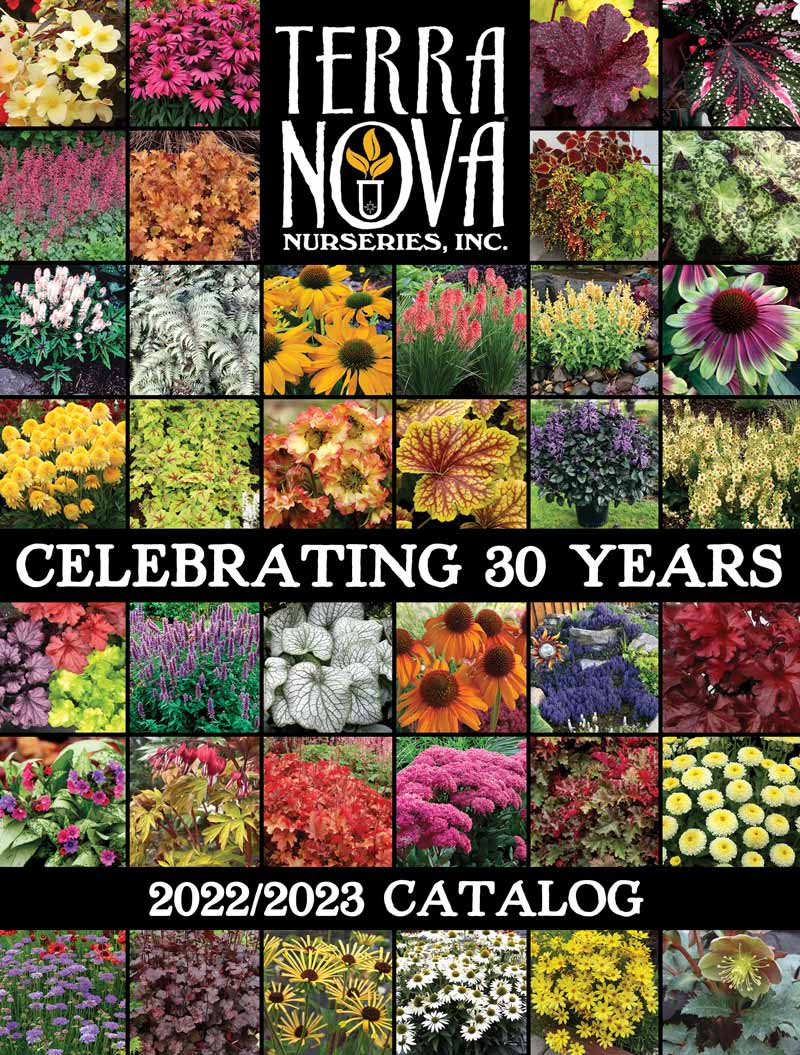 2022-2023 Catalog