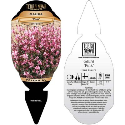 Gaura CONFETTI™ 'Pink' - Tag