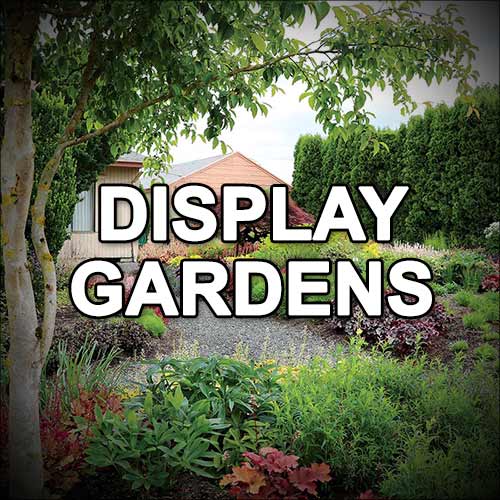 Display Gardens