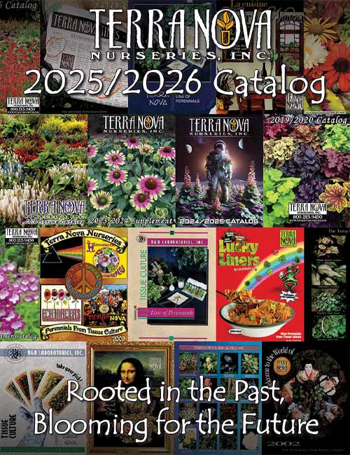 2025-2026 Catalog