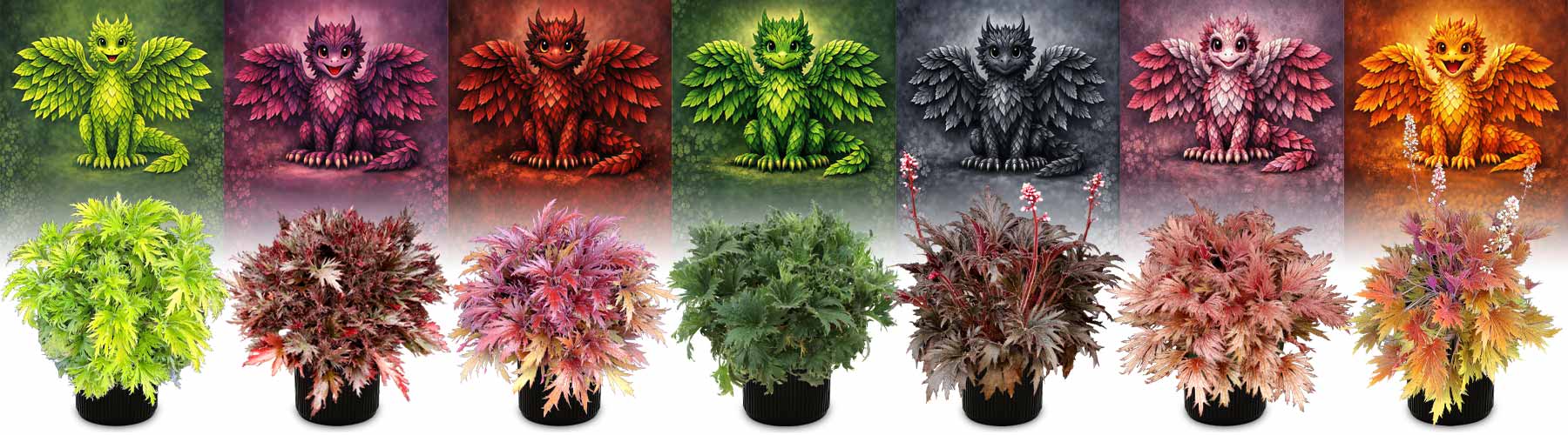 Heuchera FYRE WING™ Series