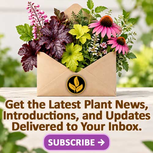 Newsletter Signup
